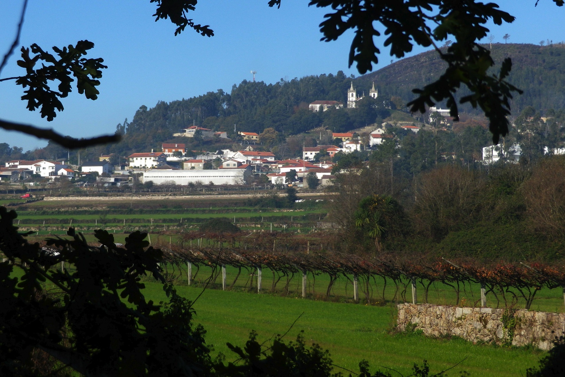Paisagem de Balugães